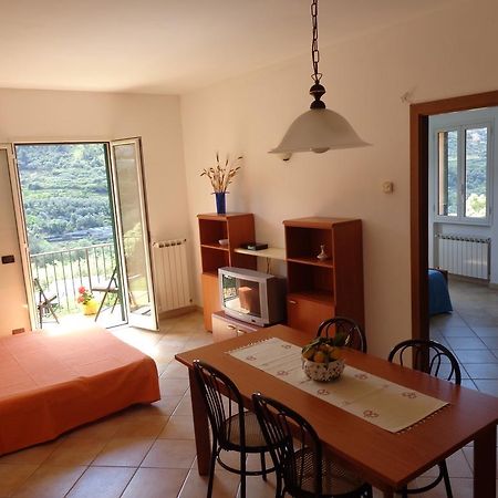Agriturismo Turlin Vallebona Kültér fotó