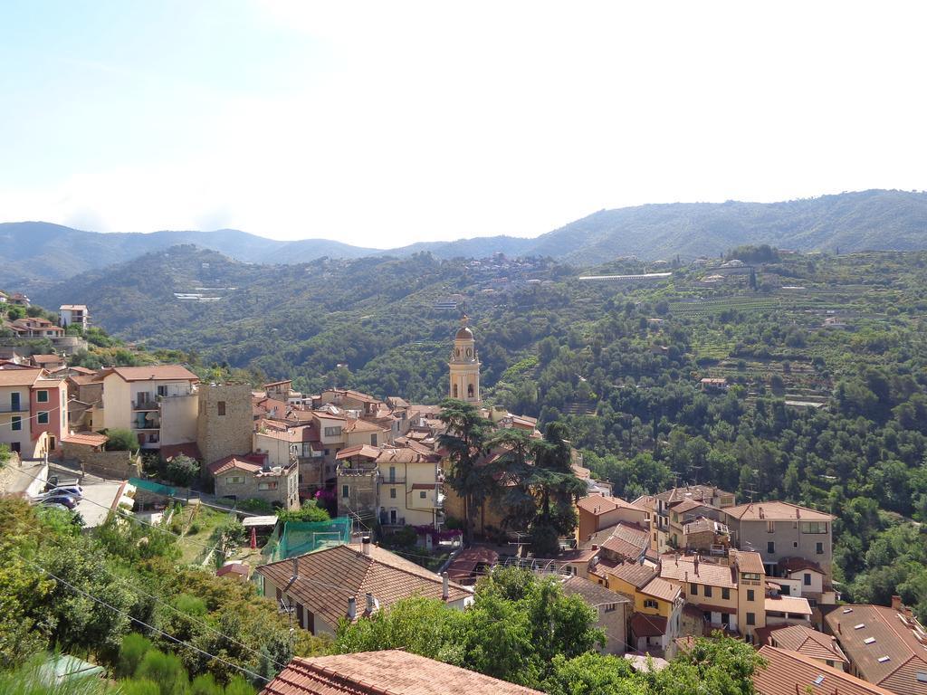 Agriturismo Turlin Vallebona Kültér fotó