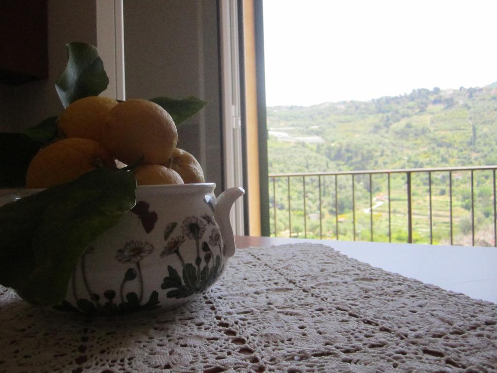 Agriturismo Turlin Vallebona Kültér fotó